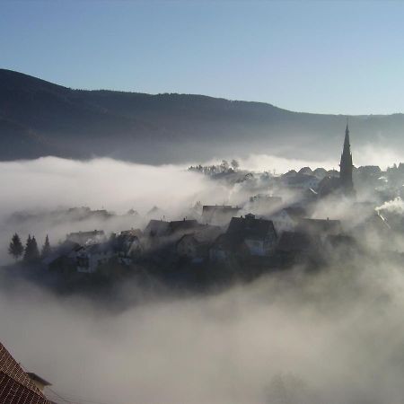 Am Keschtewaeldele **** Daire Forbach Dış mekan fotoğraf