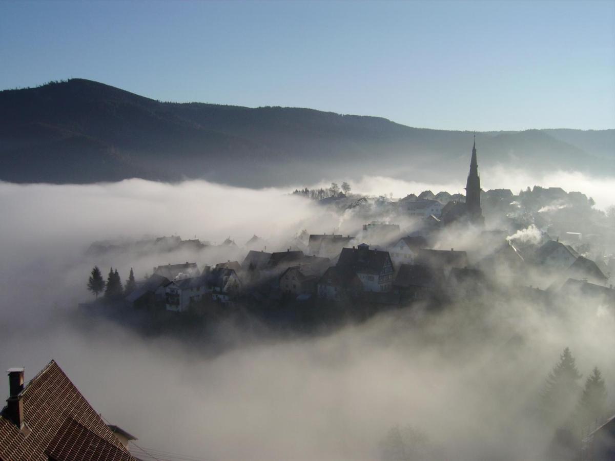 Am Keschtewaeldele **** Daire Forbach Dış mekan fotoğraf