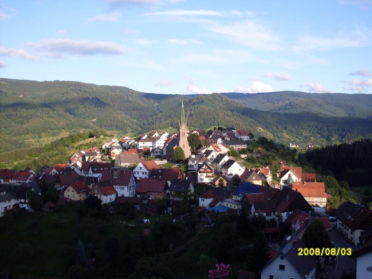 Am Keschtewaeldele **** Daire Forbach Dış mekan fotoğraf