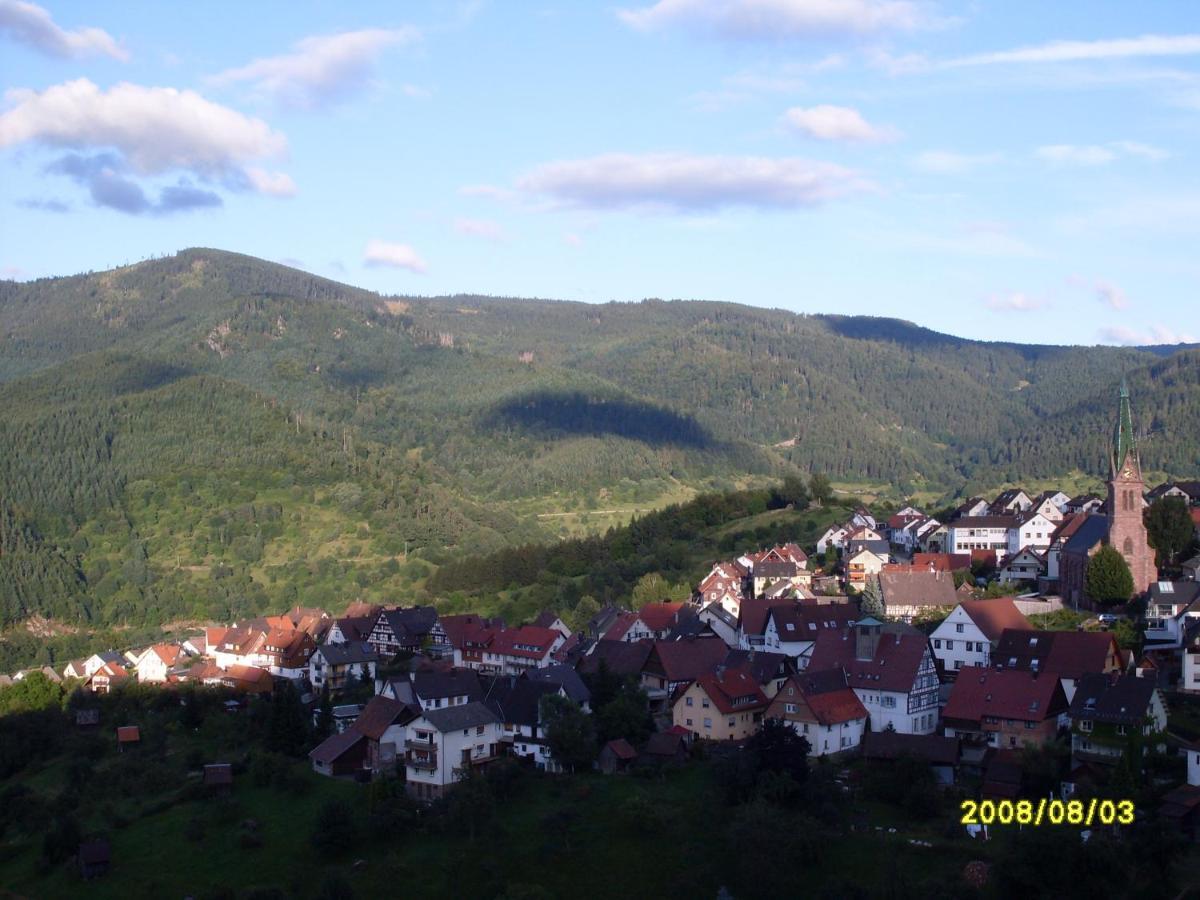 Am Keschtewaeldele **** Daire Forbach Dış mekan fotoğraf